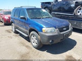 Ford Escape Xlt 1FMCU93Z17KA31686 снимка