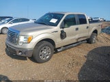 Ford F-150 Fx4/Harley-Davidson/King Ranch/Lariat/Platinum/Xl/Xlt 1FTFW1EV2AFD71100 fotografie