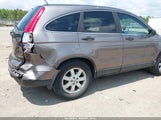 Honda Cr-V Se 5J6RE4H47BL033936 снимка