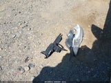 Nissan Altima 2.5/2.5 S/2.5 Sl/2.5 Sv 1N4AL3AP7EC297790 снимка