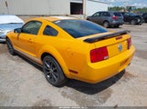 Ford Mustang V6 Deluxe/V6 Premium 1ZVHT80N185145807 fotografie