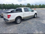 Ford F-150 Fx2 Sport/Harley-Davidson/King Ranch/Lariat/Platinum/Xl/Xlt 1FTFW1CV1AFA43671 photo
