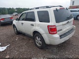 Ford Escape Xlt 1FMCU0DG3CKC12923 photo
