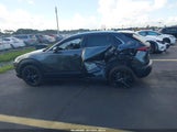 Mazda Cx-30 2.5 Turbo Premium Plus 3MVDMBEY2NM453474 fotografie