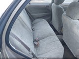 Miniaturka zdjęcia 8