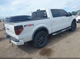 Ford F-150 1FTFW1EV3AFA77575 снимка