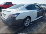 Nissan Maxima 3.5 Sv 1N4AA5AP7DC840653 снимка