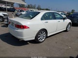 Acura Tsx JH4CL96997C002321 снимка