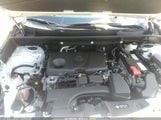 Toyota Rav4 Xle 2T3W1RFV2RC257783 снимка