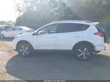 Toyota Rav4 Xle 2T3WFREV8GW248407 снимка