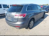 Mazda Cx-9 Touring JM3TB28A780134684 снимка
