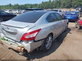 Nissan Maxima 3.5 Sv 1N4AA5AP0BC868789 снимка