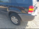 Ford Escape Xlt 1FMCU93133KA32651 снимка