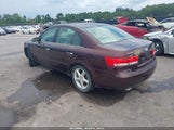 Hyundai Sonata Gls V6/Lx V6 5NPEU46F86H146090 снимка