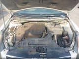Nissan Altima 2.5 S 1N4AL21E87N465355 снимка