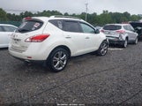 Nissan Murano Le JN8AZ1MW7BW165062 снимка