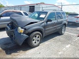 Ford Escape Xlt/Xlt Sport 1FMYU03166KA55380 fotografie