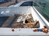 Chevrolet Silverado 1GCEK14V21Z288760 снимка