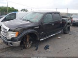 Ford F-150 Xlt 1FTFW1ET1EFA64313 снимка