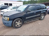 Chevrolet Trailblazer Ls 1GNDT13S542449008 снимка