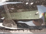 Ford Explorer Xlt 1FMEU73E18UA72819 снимка