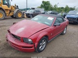 Ford Mustang V6 Deluxe/V6 Premium 1ZVHT84N985146195 photo