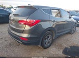 Hyundai Santa Fe Sport 2.4L 5XYZT3LBXEG216713 снимка