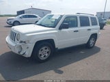Jeep Patriot Sport 1J8FT28078D540315 fotografie