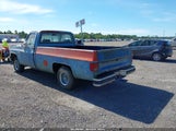 Chevrolet C10 1GCCC14H4FF304450 снимка
