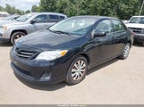 Toyota Corolla Le 2T1BU4EE8DC921404 fotografie