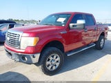 Ford F-150 Xlt 1FTFW1EF6BFA94154 снимка