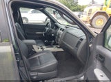 Ford Escape Xlt 1FMCU93719KD03963 снимка