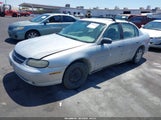 Chevrolet Malibu 1G1ND52J42M620481 снимка