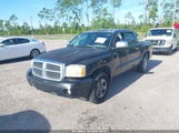 Dodge Dakota Slt 1D7HE48K06S557317 снимка