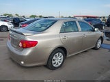 Toyota Corolla Le 1NXBU40E69Z025325 снимка