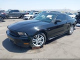 Ford Mustang V6 1ZVBP8AM1B5145538 снимка