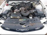 Ford Mustang V6 1ZVFT80N065150680 photo