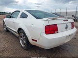 Ford Mustang V6 1ZVFT80N065150680 fotografie
