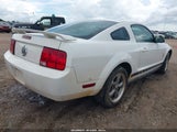 Ford Mustang V6 1ZVFT80N065150680 photo