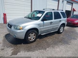Ford Escape 1FMYU03167KA36295 снимка