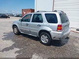 Ford Escape 1FMYU03167KA36295 снимка