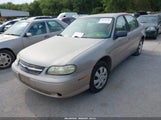 Chevrolet Malibu 1G1ND52J23M638351 снимка