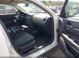 Dodge Charger 2B3KA43T59H540764 fotografie