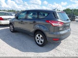 Ford Escape S 1FMCU0F76FUA73666 fotografie