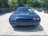 Dodge Challenger Sxt 2C3CDYAG5DH581996 photo