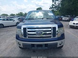 Ford F-150 Fx4/Harley-Davidson/King Ranch/Lariat/Platinum/Xl/Xlt 1FTFW1EV3AFA45287 photo