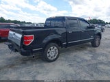 Ford F-150 Platinum 1FTFW1ETXDFA60534 снимка