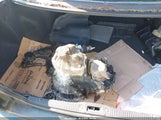Toyota Camry Dx/Le/Xle 4T1BG12K0TU731707 снимка
