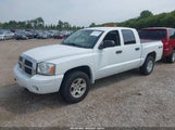 Dodge Dakota Slt 1D7HW48K66S654342 снимка