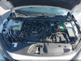 Honda Civic Ex-L 19XFC1F76KE213895 снимка